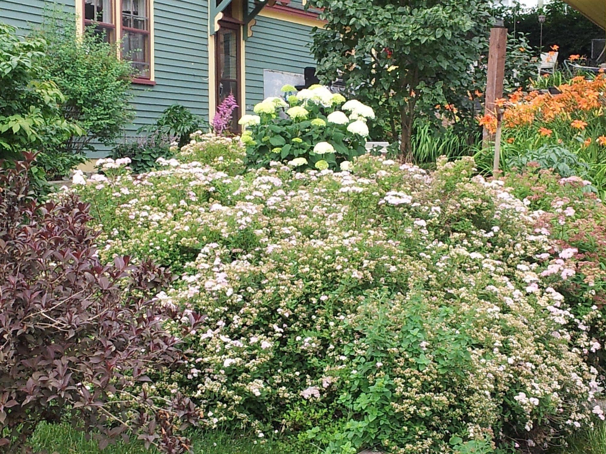 The Spaniards Room Heritage Home Spaniards Bay Exterior foto